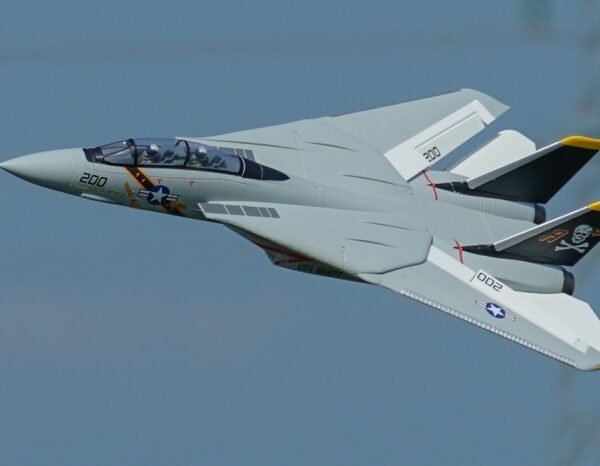 Avión RC F-14 Tomcat Twin de 40 mm, 5 canales, PNP