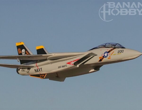 Avión RC F-14 Tomcat Twin de 40 mm, 5 canales, PNP